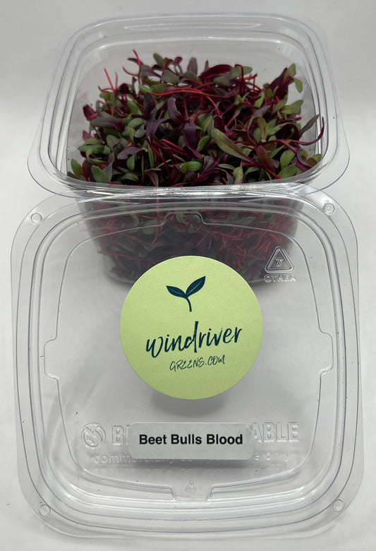 Beet Microgreens