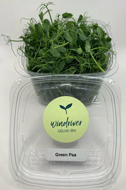 Green Pea Microgreens