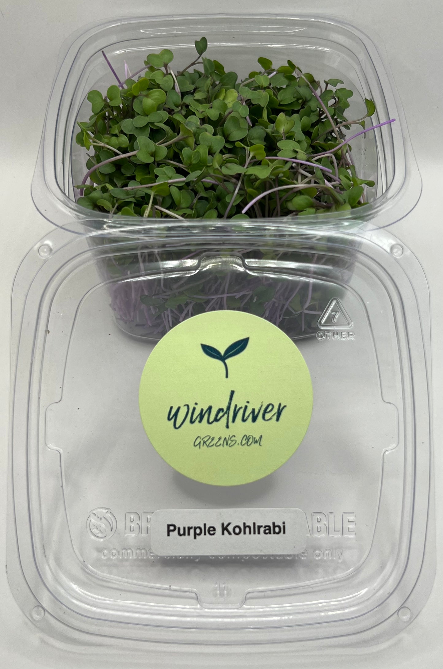 Purple Kohlrabi