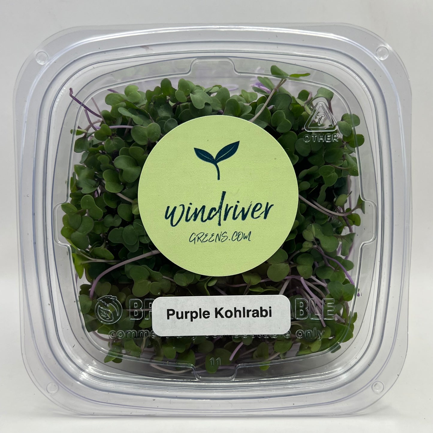 Purple Kohlrabi
