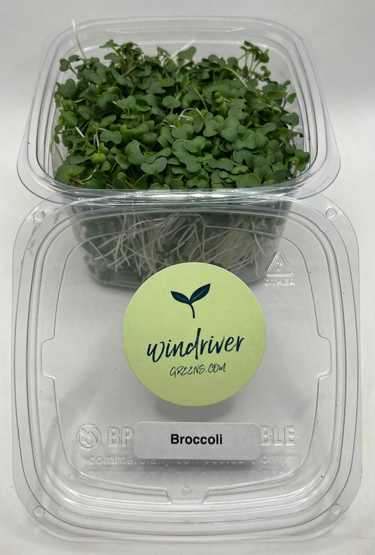 Broccoli Microgreens (Waltham 29)