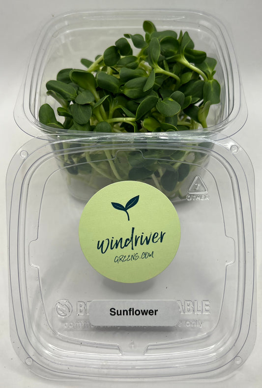 Sunflower Microgreens