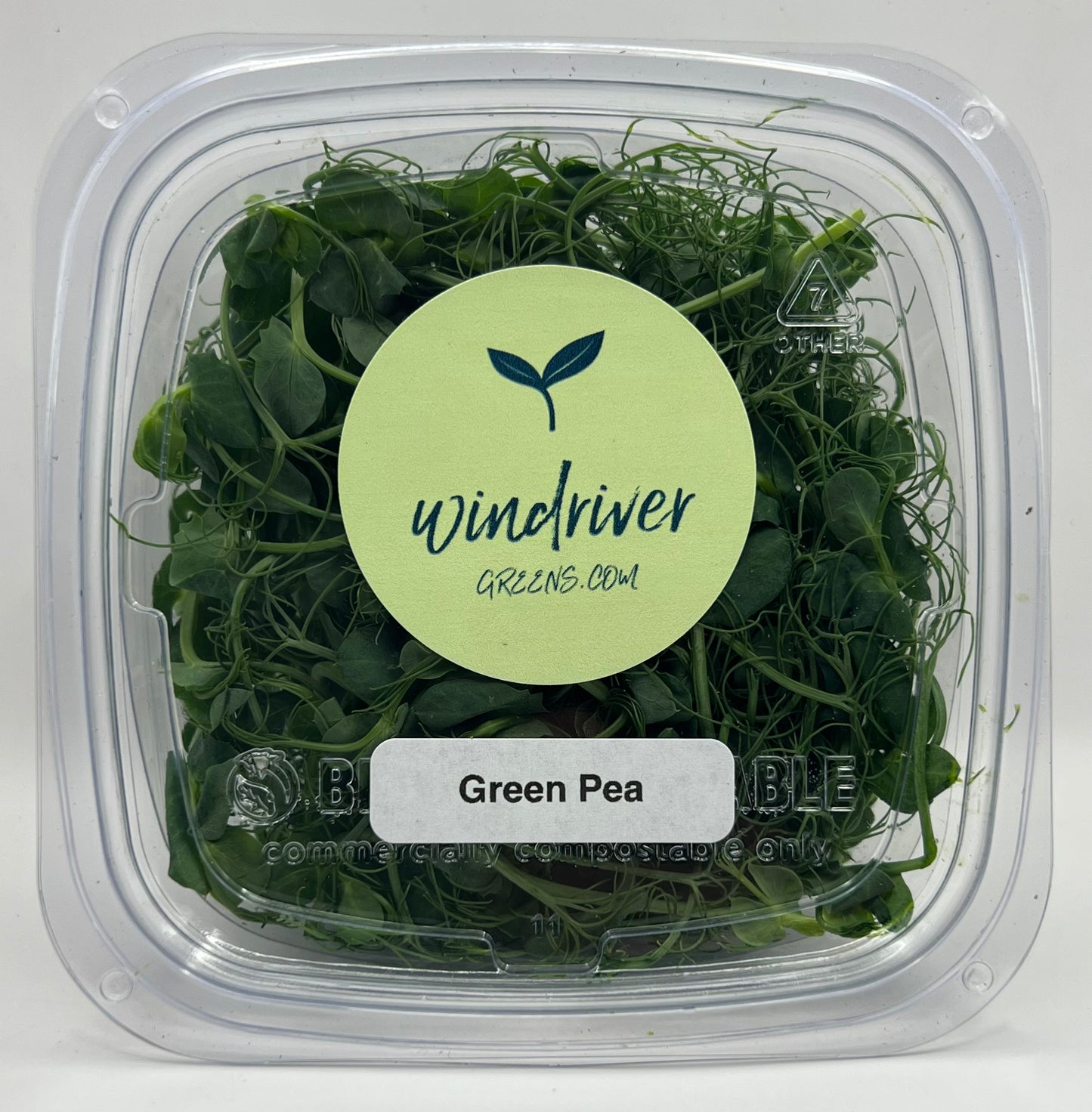 Green Pea Microgreens