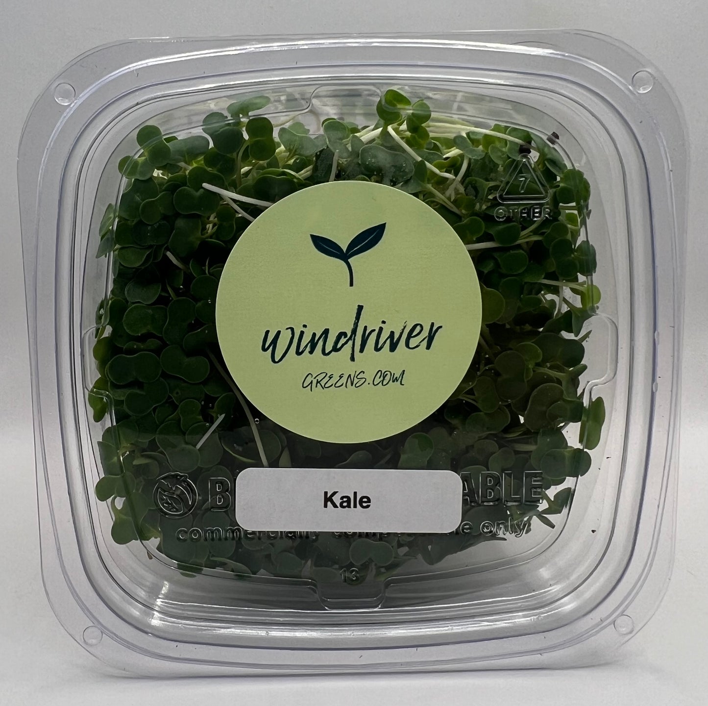White Russian Kale