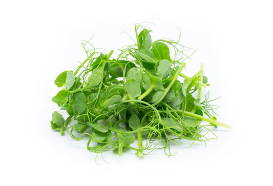 How to Grow Pea Shoot Microgreens: Sweet, Crunchy, and Beginner-Friendly