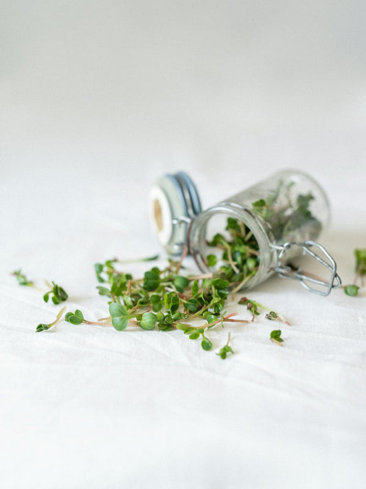 Microgreens vs Sprouts: What's the Difference?