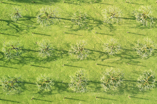 Colorful microgreen pizza with variety of fresh microgreens as toppings