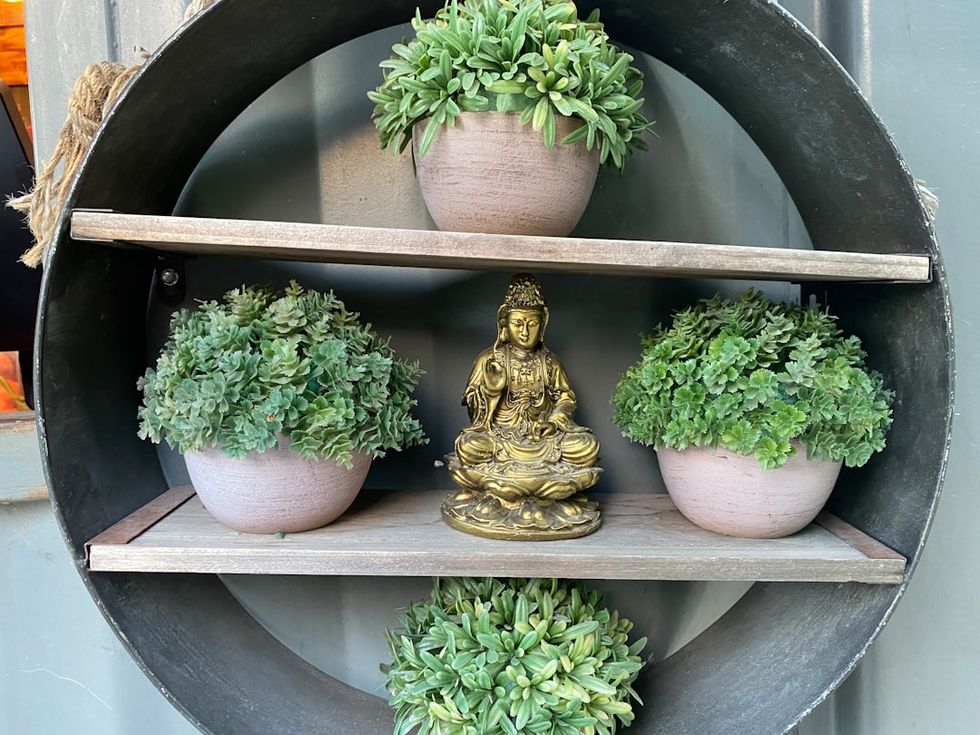 Colorful buddha bowl with roasted vegetables and fresh microgreens on white ceramic bowl