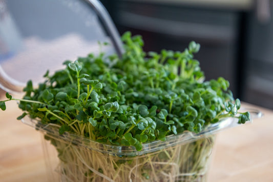 Colorful vegetable stir fry topped with fresh microgreens in sesame ginger sauce