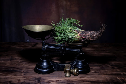 Golden poached egg on avocado toast topped with fresh pea shoot microgreens
