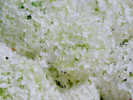 Colorful microgreen fried rice with scrambled eggs in a wok