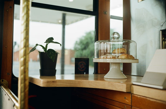 Mason jars filled with growing microgreens on a sunny windowsill